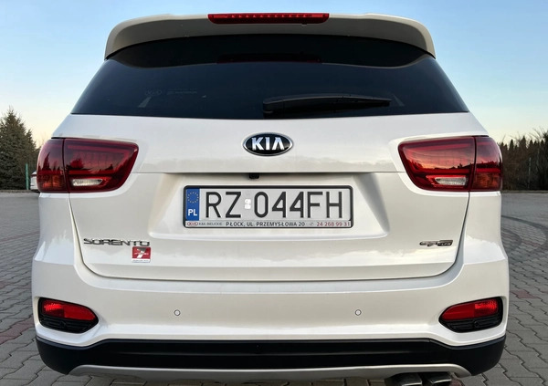 Kia Sorento cena 138000 przebieg: 49900, rok produkcji 2018 z Rzeszów małe 781